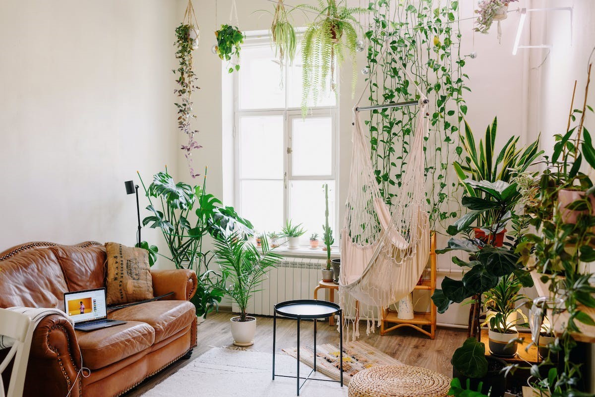 Apartment Gardening Tips for Green Living | Satt Adhar - Green Apartment Gardening Tips