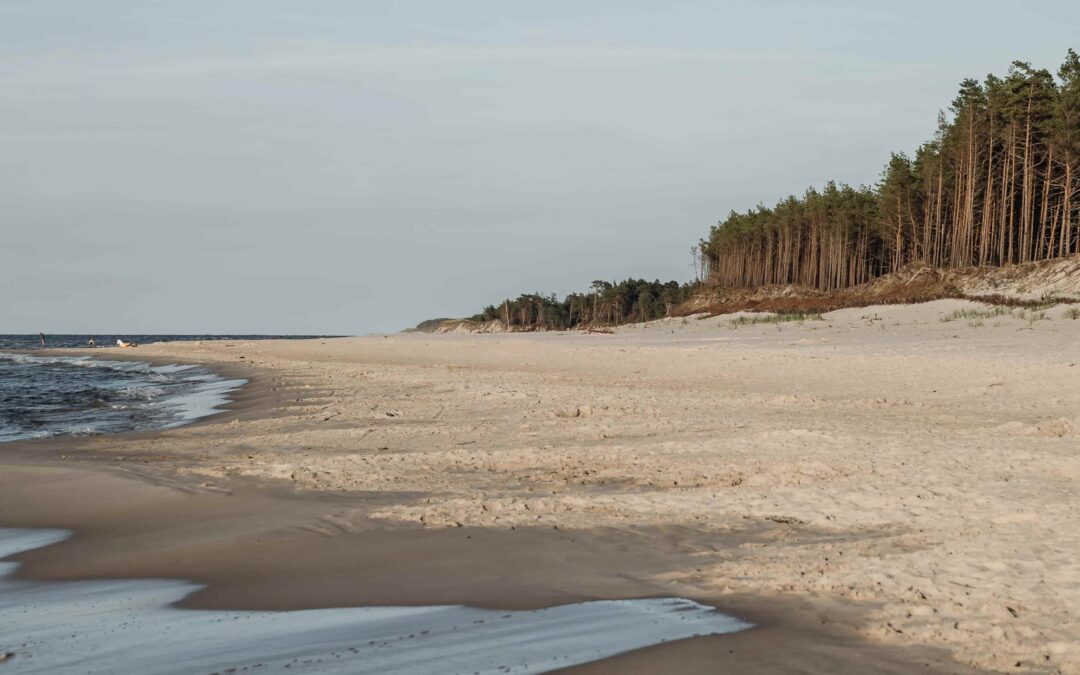 NAVIGATING THE GOAN REAL ESTATE MARKET CONUNDRUM: TO RENT OR BUY?