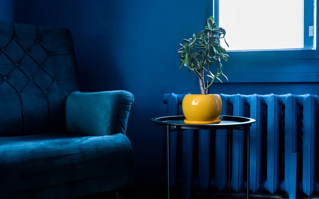 Picture of a corner of a room showing contrasting interior decor