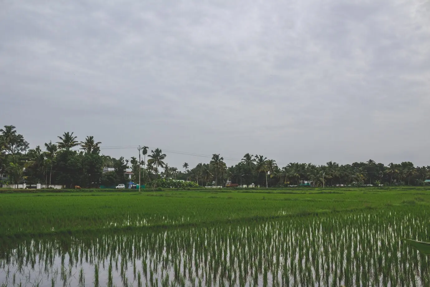 Beautiful landscapes all around Goa Beautiful landscapes all around Goa