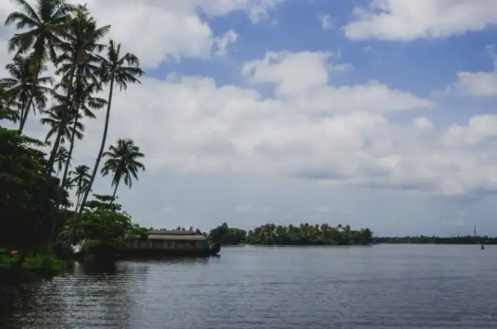 Calm river with coconut trees Calm river with coconut trees