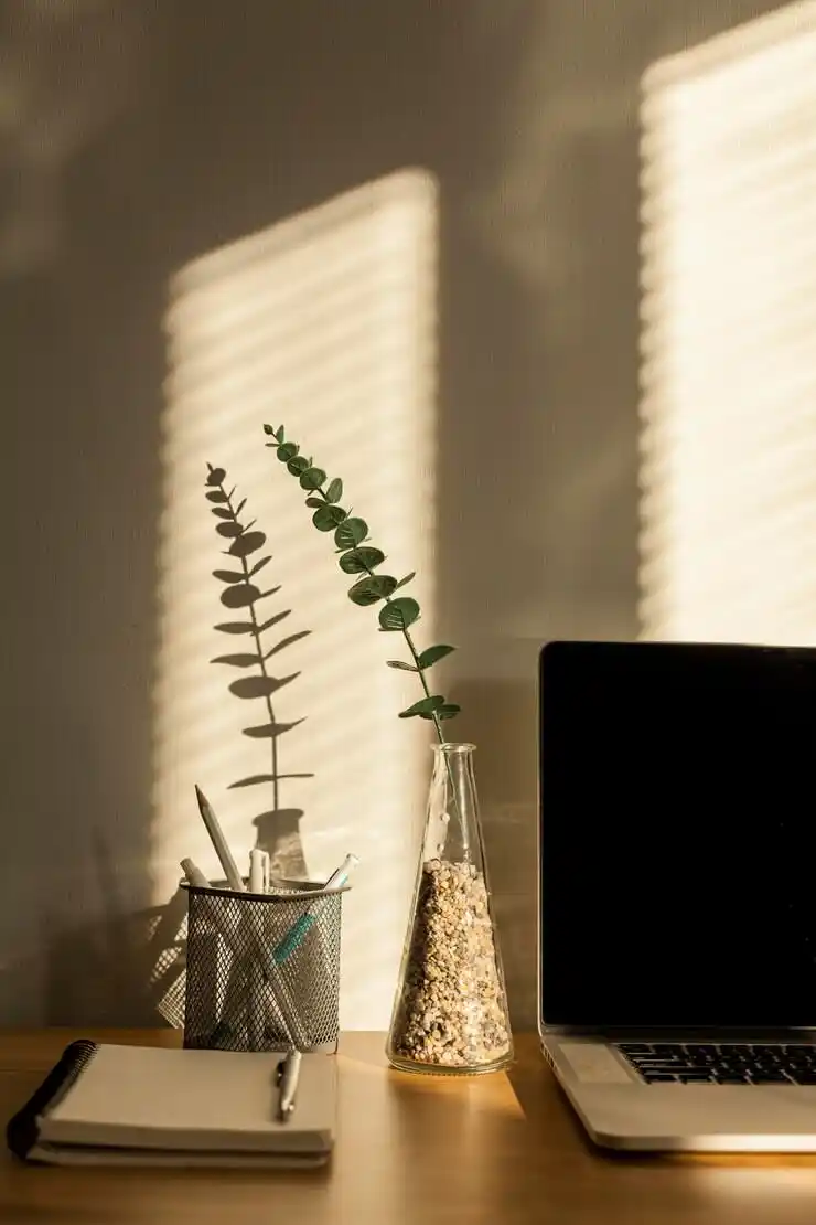 sunny Goan home office