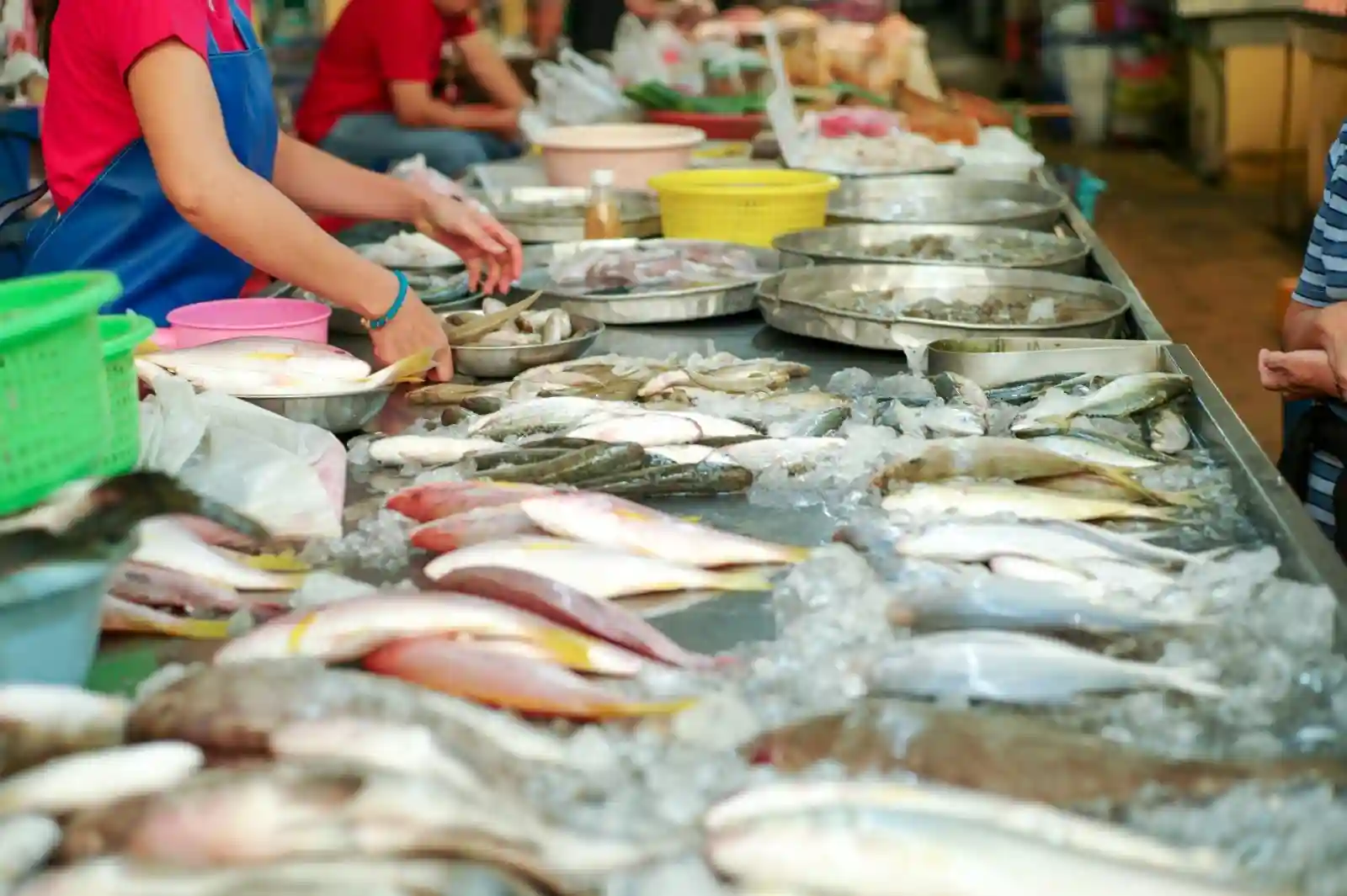 Fish displayed at the fish market in Goa.