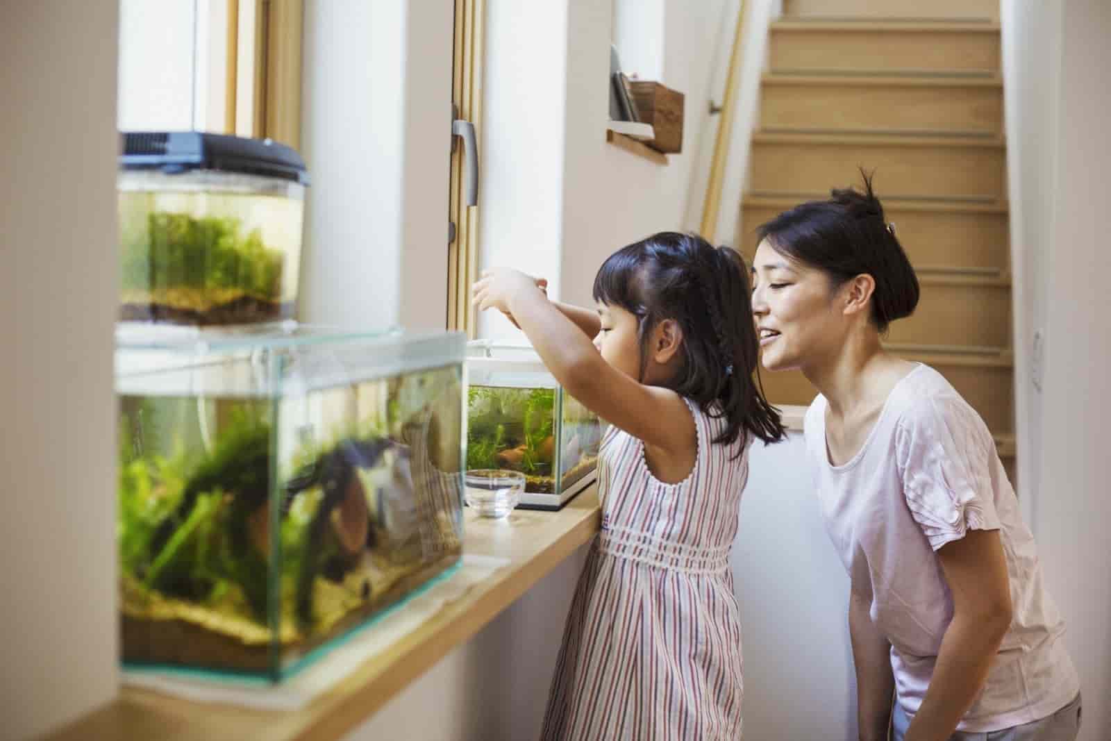 A mother and daughter cleaning a fish tank in a pet-friendly home in Goa.