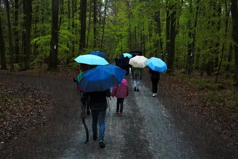 A group of people travelling with umbrellas in the rains in Goa.