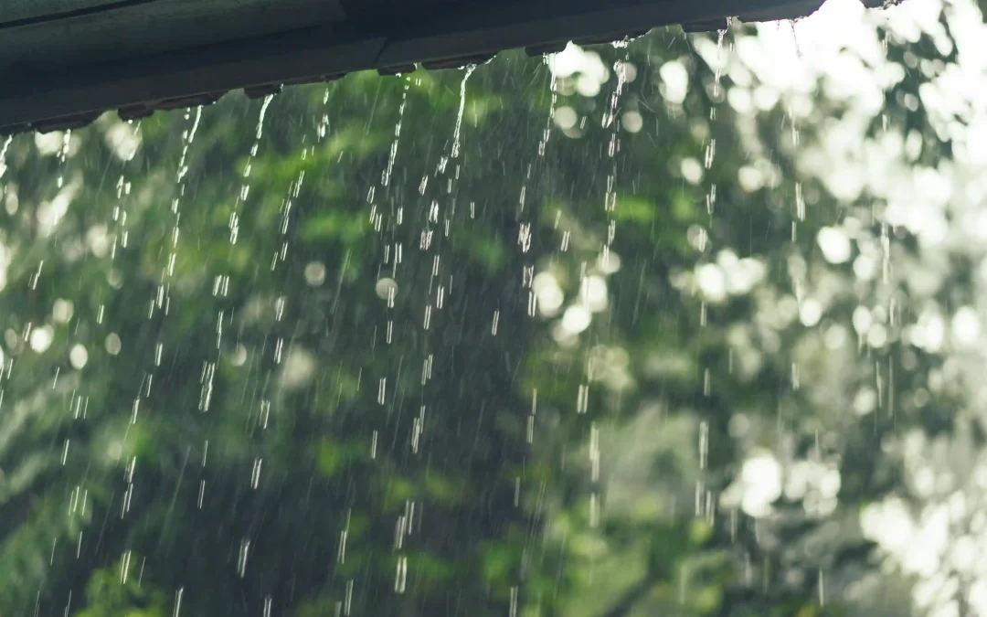 A Checklist for Getting Your Home in Goa Ready for the Monsoon