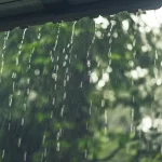 Rain outside a home in Goa during monsoon.
