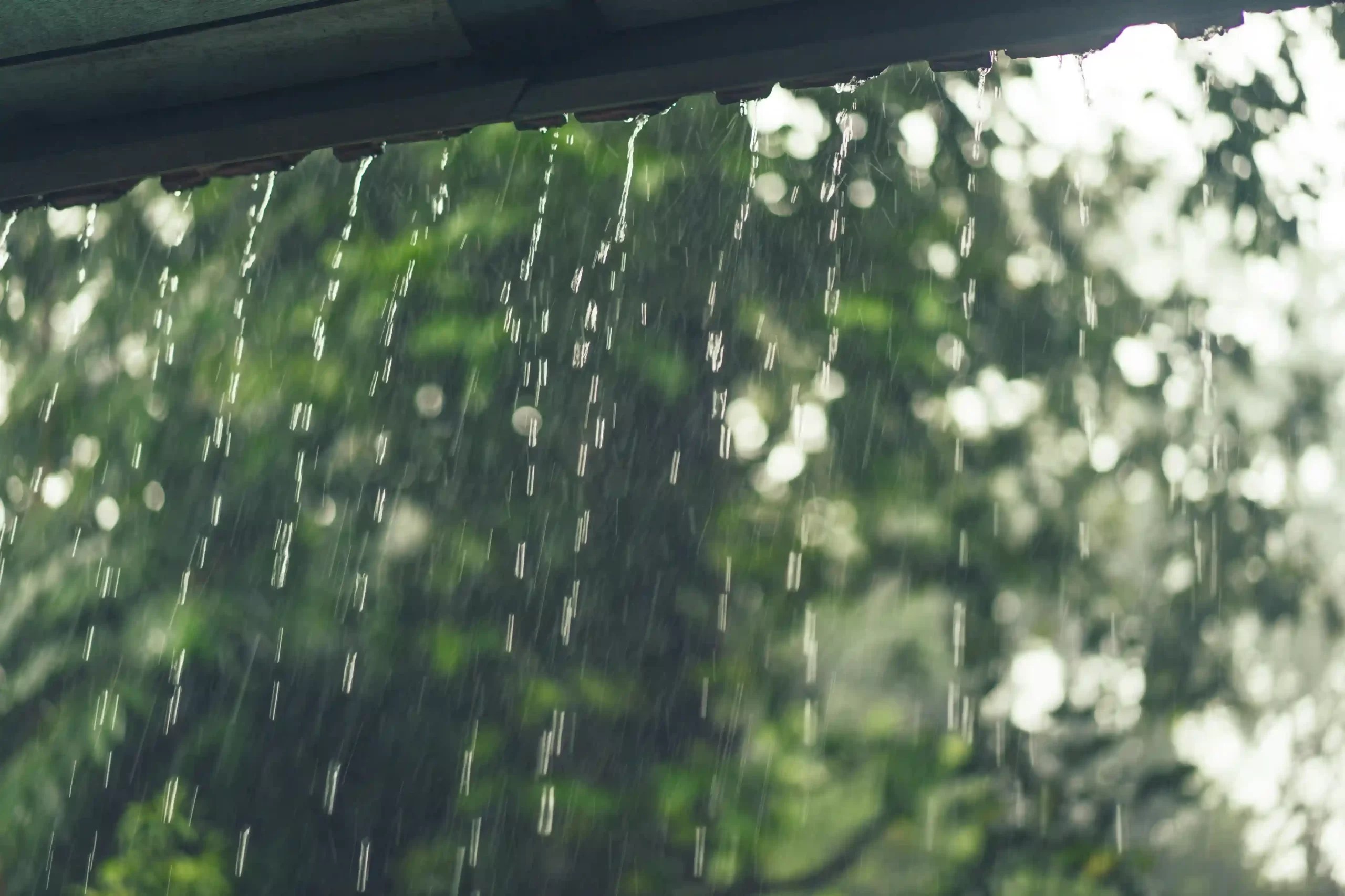 Rain outside a home in Goa during monsoon.