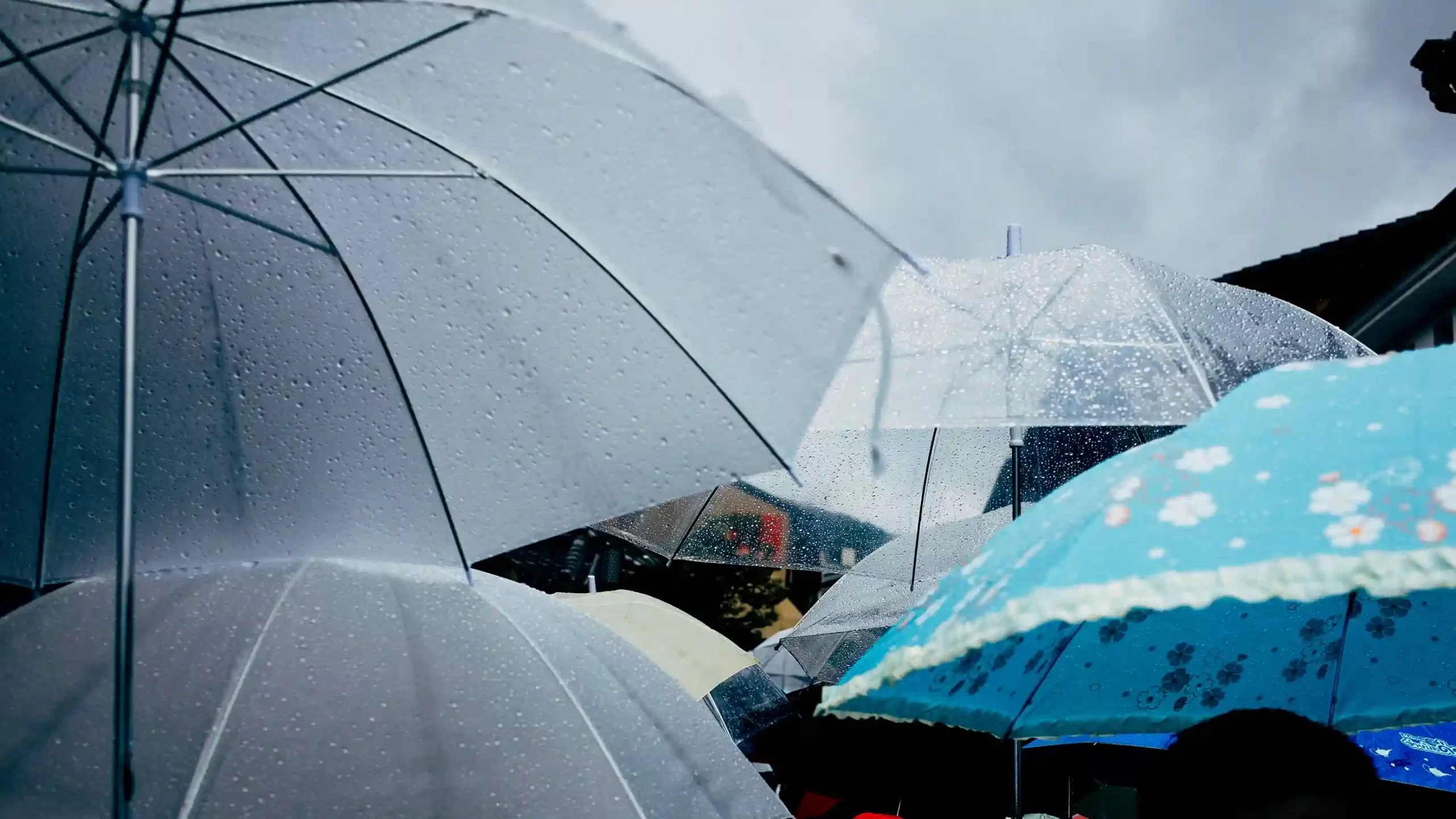 People carrying umbrellas through Panjim during monsoon, reflecting local life around homes in Goa