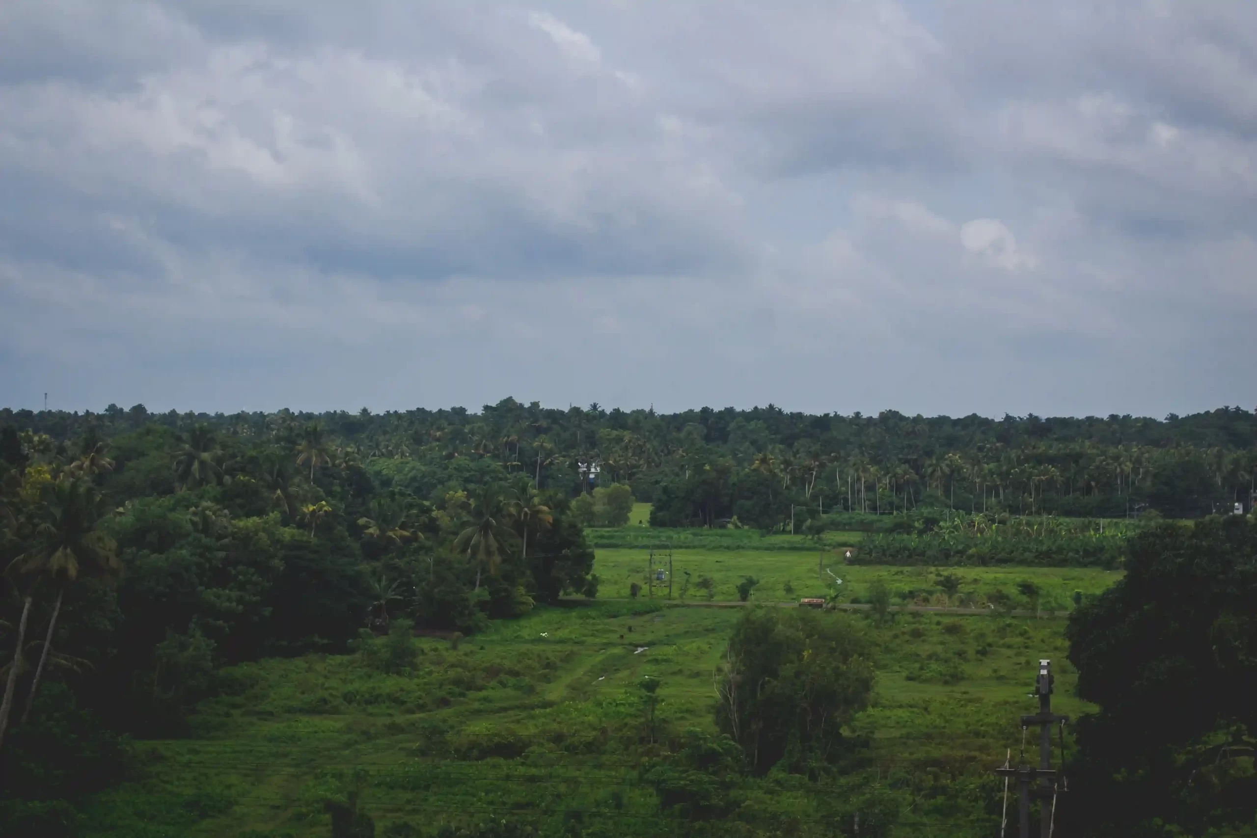 Lush green landscape surrounding a home in Panjim after the arrival of the Goa monsoon.