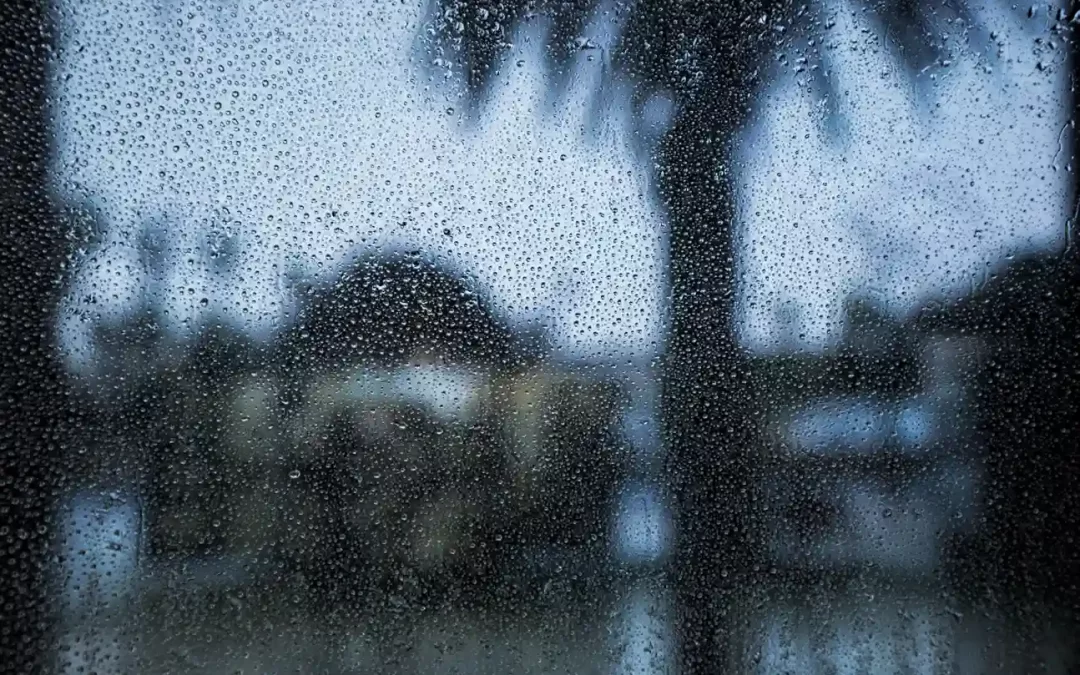 Rainy window view from a home in Panjim during the first monsoon showers in Goa.