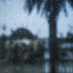 Rainy window view from a home in Panjim during the first monsoon showers in Goa.